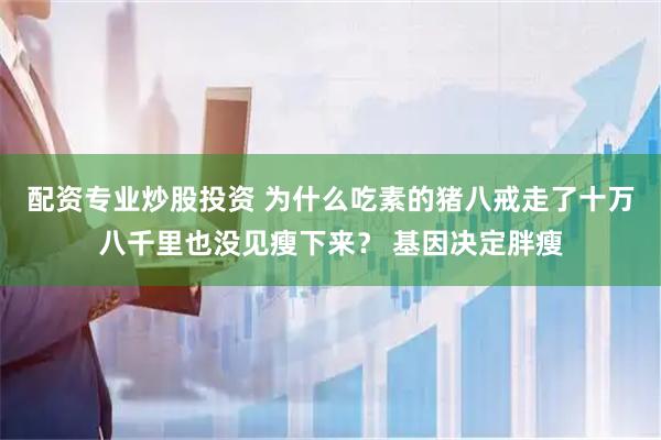 配资专业炒股投资 为什么吃素的猪八戒走了十万八千里也没见瘦下来？ 基因决定胖瘦