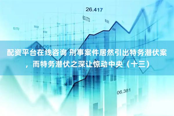 配资平台在线咨询 刑事案件居然引出特务潜伏案，而特务潜伏之深让惊动中央（十三）